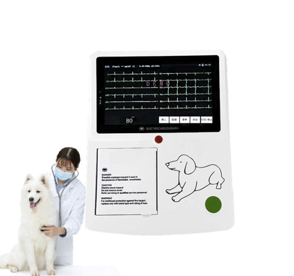 Надежная ветеринарная ЭКГ-машина с легкой конструкцией и безопасным хранением данных